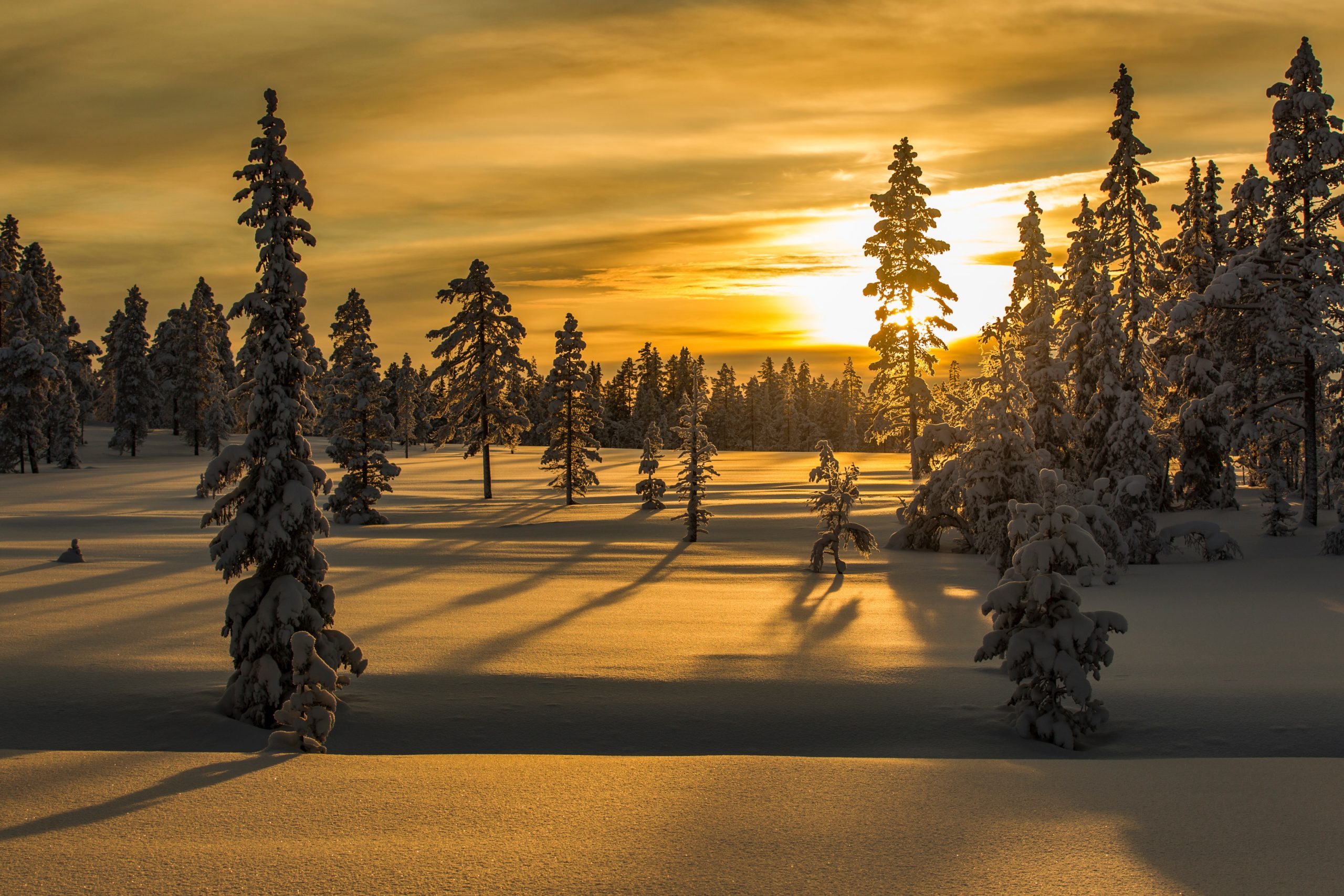 Winter Mit Mittwinter und Rauhnächte - Zeitschrift info3