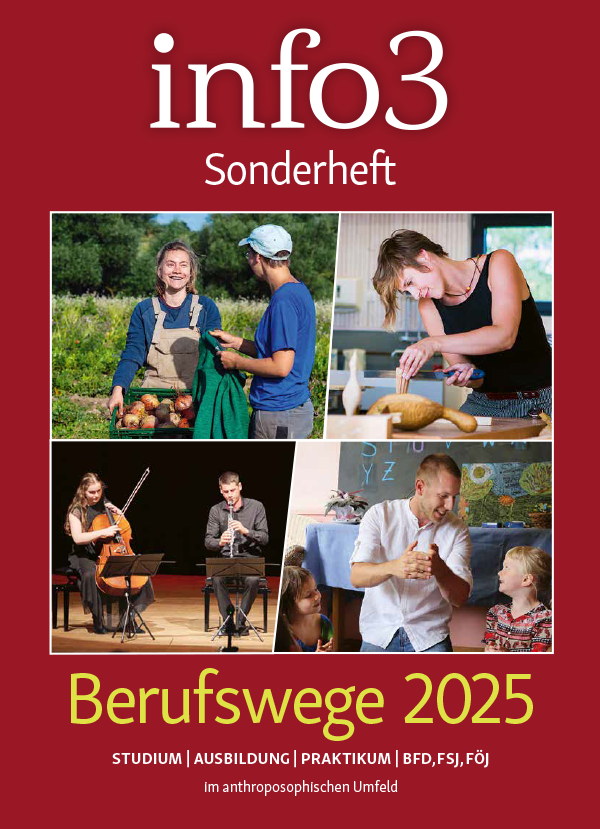 info3 Sonderheft Berufswege 2025