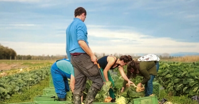 Höfe als Refugium - info3 Februar 2026